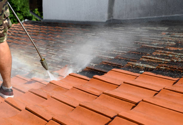 Best Deck Cleaning Services  in Lewisville, NC